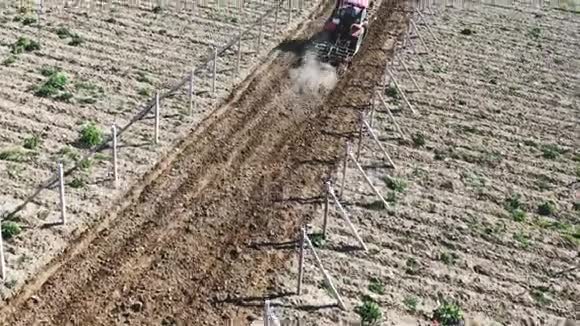 阳光明媚的一天红拖拉机在葡萄园里耕耘土壤视频的预览图