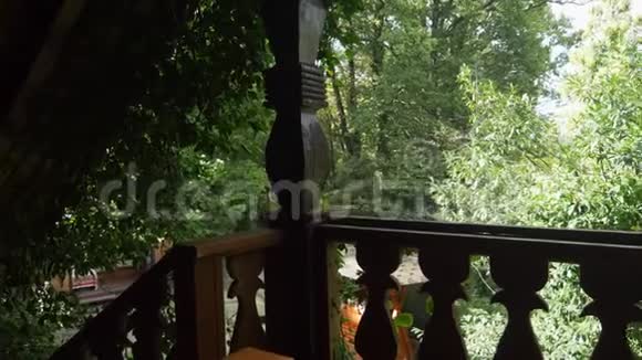 从树上木屋的窗户看森林里的木屋视频的预览图