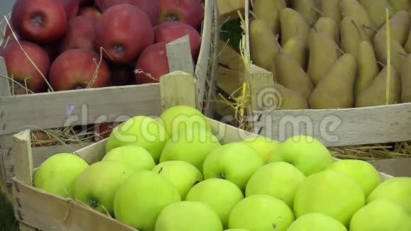 金苹果苹果苹果苹果品种和苹果梨一个非常美味的秋季品种在城市市场视频的预览图