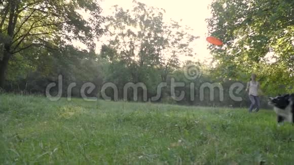 一只欢快的狗正在镜头前捕捉到女孩正站在绿色的草坪上慢镜头视频的预览图