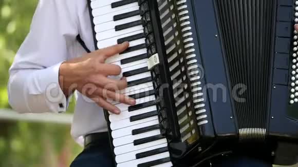 成年男子演奏手风琴音乐四重奏演奏音乐家在音乐会上表演音乐家演奏视频的预览图