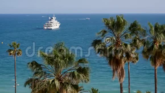 戛纳城棕榈树游艇和蔚蓝的天空视频的预览图