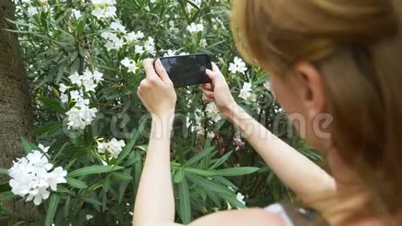一个女人在她的智能手机上拍一张夹竹桃花的照片用于社交网络博客4k慢动作视频的预览图