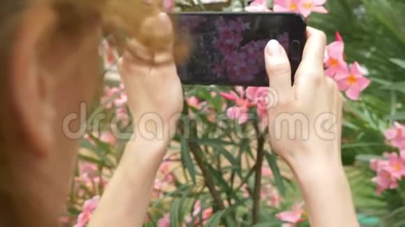 一个女人在她的智能手机上拍一张夹竹桃花的照片用于社交网络博客4k慢动作视频的预览图