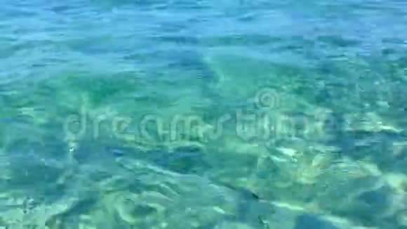 翡翠海水荡漾水面视频的预览图