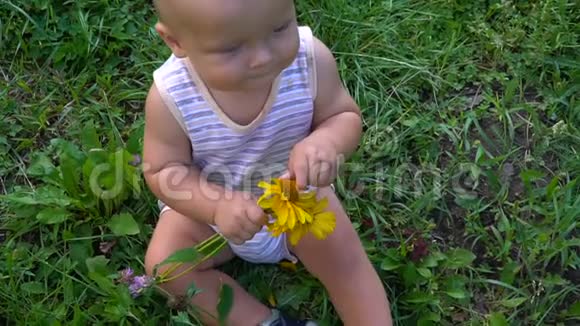 小孩手里拿着一朵花看着摄像机视频的预览图
