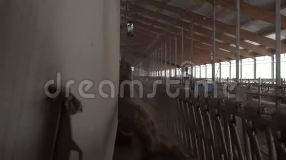 农场饲料机的特写录像饲料卡车在谷仓卸下牲畜饲料农业和牲畜护理视频的预览图