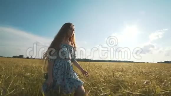 一个可爱的小女孩独自走在金色的麦田里视频的预览图