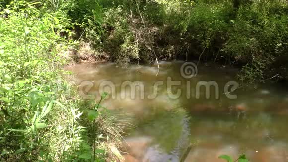 乔治亚州苏万尼溪公园一个小溪流流入苏万尼溪的景观视频的预览图