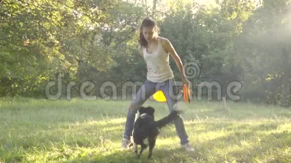 一只草地上的狗边牧羊犬在飞盘后面奔跑在女孩驯兽师纤细的双腿之间慢射击视频的预览图