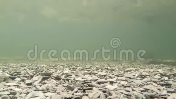 威尔士湖的水下记录视频的预览图