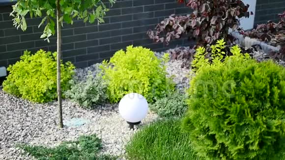 绿色草坪景观正式前院设计精美花园视频的预览图