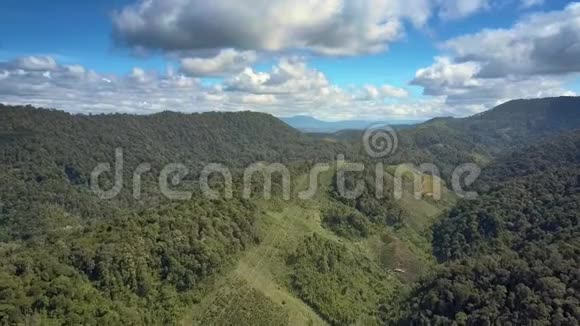 拥有岭上景观动力线的绿色高地视频的预览图