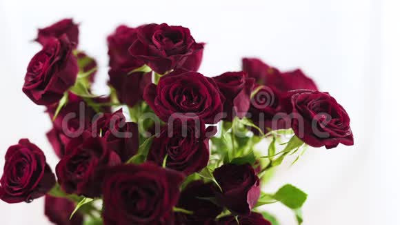 红色玫瑰花束与水滴紧贴视频的预览图