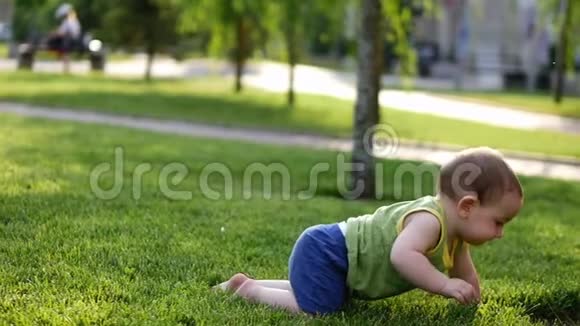快乐的孩子第一次慢慢地摸着树婴儿从草地上慢慢地爬行小婴儿世界视频的预览图
