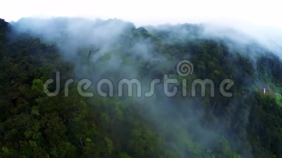 从无人机看到的亚马逊雨林视频的预览图