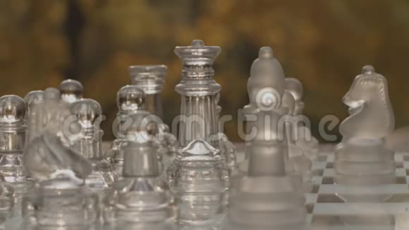 国际象棋户外游戏变异一视频的预览图