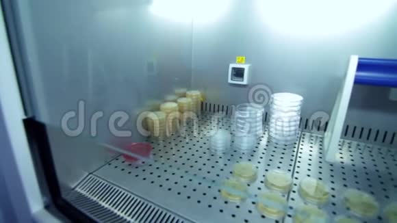 用于临床研究的实验室玻璃器皿冰箱仓库内的实验室试管视频的预览图