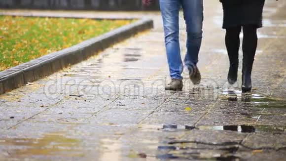 下雨的秋天视频的预览图