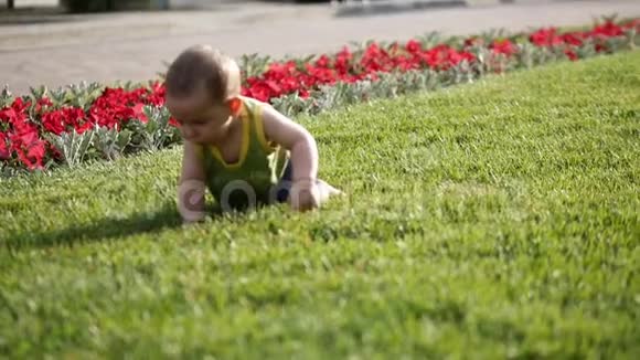 婴儿从草地上慢慢地爬行小磨坊认识世界慢动作视频的预览图