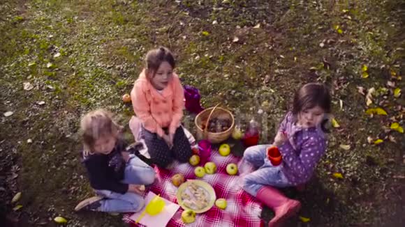 在花园里野餐孩子们坐在草地上喝酒吃馅饼视频的预览图