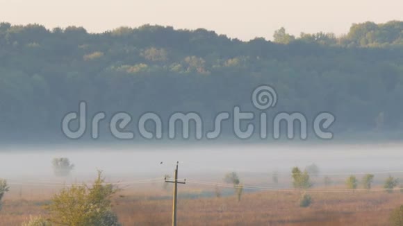 美丽的风景雾蒙蒙的村庄平原秋雾背景下的电力线路视频的预览图