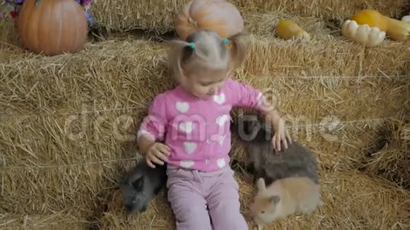 一个坐在稻草上的小女孩和活视频的预览图