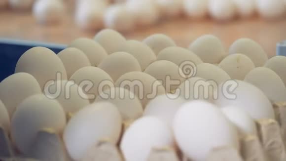 一层新的蛋架正被放在另一层的上面并在一个近距离内装满鸡蛋视频的预览图