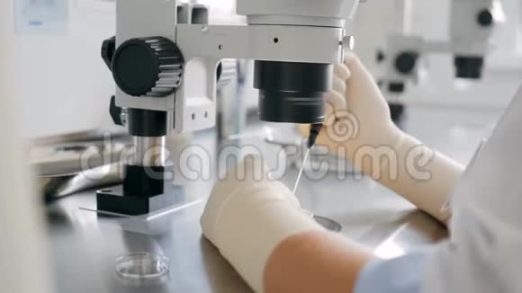 实验室显微镜科学研究背景实验室的医学研究人工实验室视频的预览图