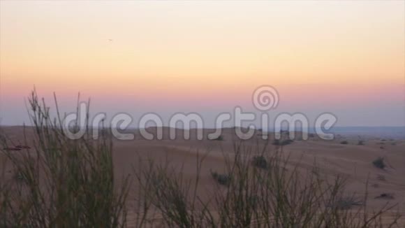 无边无际的沙漠沙丘上的全景夜空视频的预览图