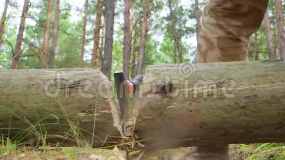 大树上的斧头近景背景上格子衬衫的伐木工人模糊视频的预览图
