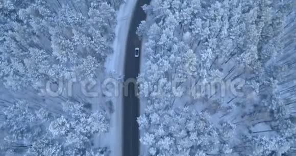 在白雪覆盖的松树之间开着一条冬天的森林道路视频的预览图