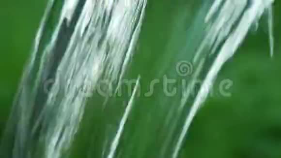 绿色地带有一条清澈的溪水视频的预览图