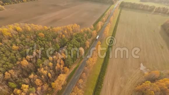 路在秋林鸟瞰与路过的卡车俄罗斯视频的预览图