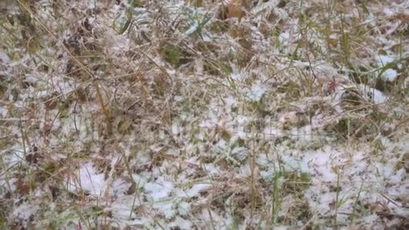 草盖先鲜雪飞照相机视频的预览图