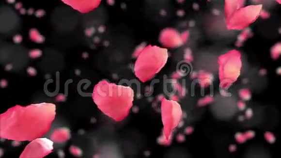 飞玫瑰花瓣黑色背景与深野高清1080循环动画视频的预览图