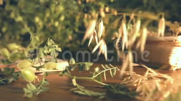 鹰嘴豆的静态生活视频的预览图