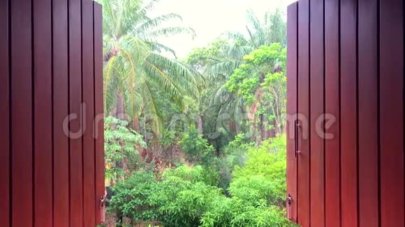 雨天热带丛林景观透过木质百叶窗视频的预览图