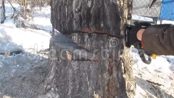 一个人在冬天的一天用迟钝的电锯把一棵厚树砍成一部分视频的预览图