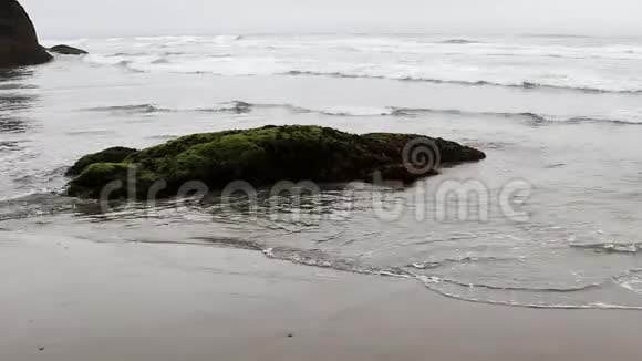 在绿色植物覆盖的海滩上的海浪和岩石视频的预览图