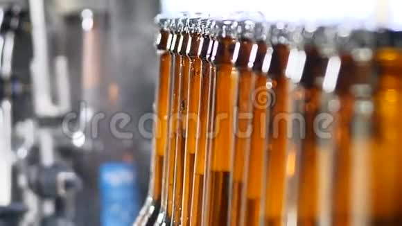 啤酒厂的概念啤酒厂自动啤酒瓶生产线传送带上准备好的装满瓶子的队列4k视频的预览图