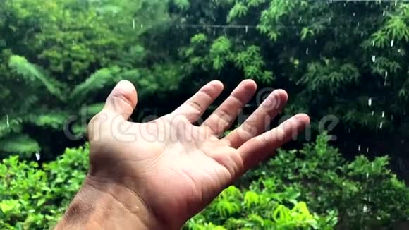 热带丛林雨滴落在手上视频的预览图