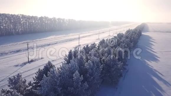 在森林里的冬天在四架直升机上飞过道路从上面的航空视图视频的预览图