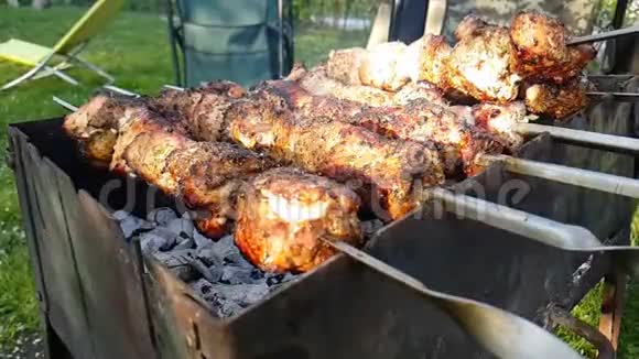 野餐时烧烤慢动作夏日棒烹饪视频的预览图