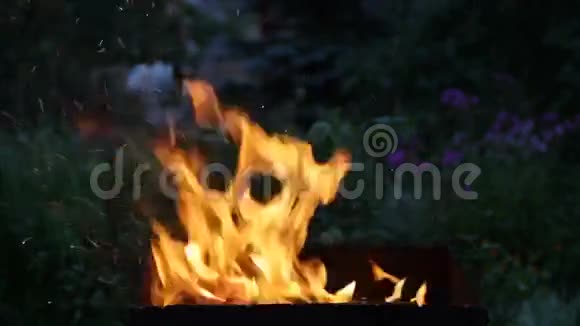 火盆里燃烧的火焰视频的预览图
