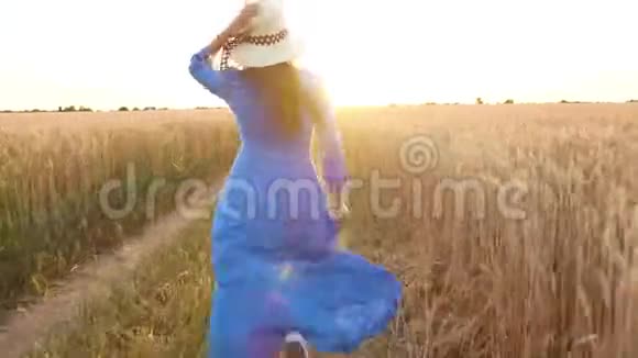 日落时分穿着蓝色连衣裙和帽子的漂亮女人穿过麦田自由概念日落时的麦田视频的预览图