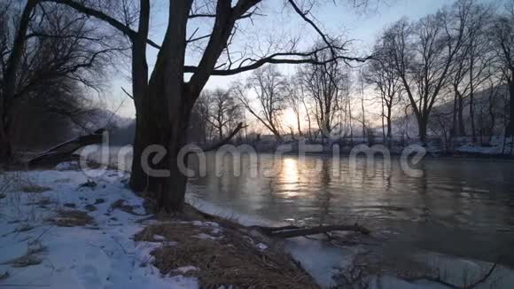 平静的早晨日出笼罩着河岸上的树木视频的预览图