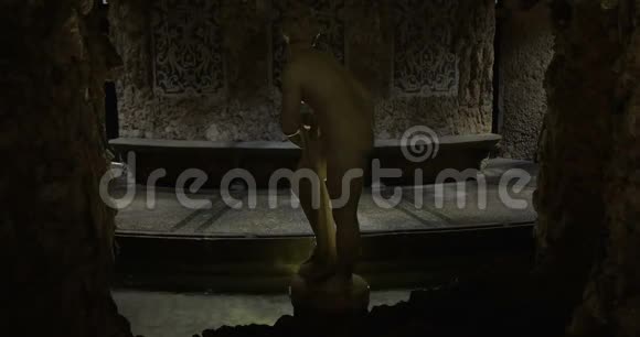 古罗马浴像视频的预览图