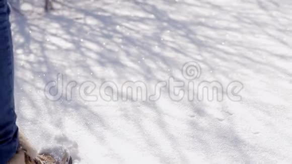 阳光明媚的一天在雪地上慢步视频的预览图