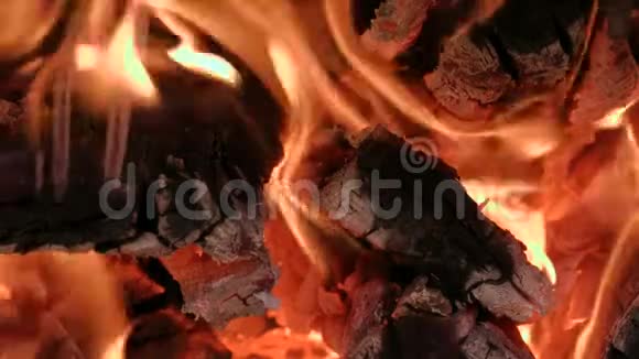 燃烧木材和煤特写镜头视频的预览图